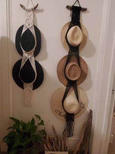 three hats are hanging on the wall next to a potted plant and other items