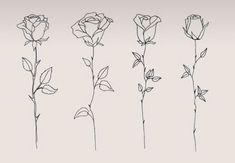 four different types of flowers are shown in black ink on a light gray background,