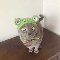 a gray cat wearing a green crocheted hat on top of a wooden table