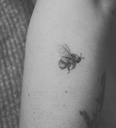 a black and white photo of a bee on the arm