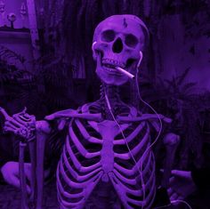 Purple Background, Skeleton, Plants