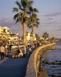 people are walking on the sidewalk next to the water with palm trees and buildings in the background