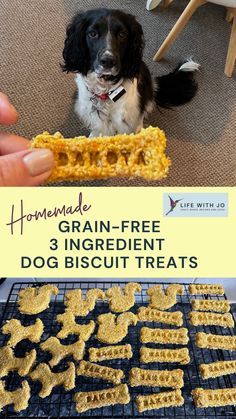 a dog sitting on the floor next to a pile of dog biscuit treats with text overlay that reads homemade grain - free 3 ingredient dog biscuit treats