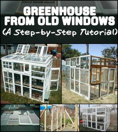 the instructions to build a greenhouse from old windows in 4 steps - by - step