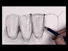 In my course you learn not only to draw but the layering techniques and how to achieve natural teeth in composite (sponsored by Miceriums://vassnianiza... Dental Morphology, Rotten Teeth, Layering Techniques, Dental Lab, Natural Teeth, Mascara Lashes