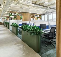 an office with plants in the middle of it's desks and chairs on either side