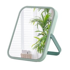 a mirror that has a plant in it