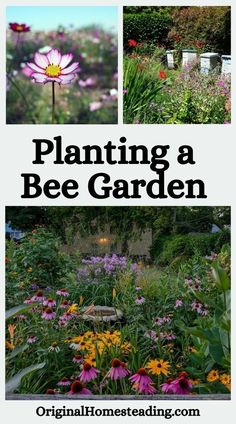 a garden with flowers and beehive in the background text overlay reads planting a bee garden original homeseating com