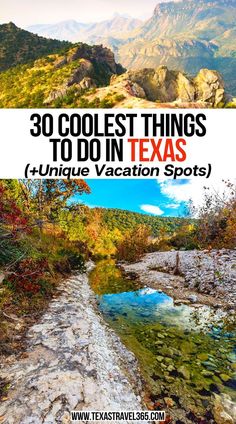 30 Coolest Things To Do In Texas That You Didn't Know About Best Places To Visit In Texas, Spring Break In Texas, Things To Do In Arlington Texas, Bucket List Texas, Texas Vacation Ideas, Texas Vibes, Dallas Murals