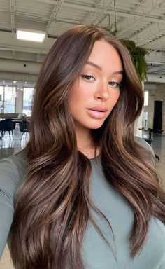 Fall Medium Brunette Hair Color, Tone Down Highlights Brunettes, Rich Brown Dimensional Hair, Chocolate Brown Hair With Light Brown, Fall Balayage Brown Hair, Natural Beige Hair Color, Hair Trends 2023 Brunette, Trending Brown Hair Color 2023, The Expensive Brunette