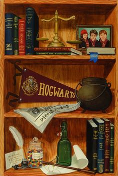 a harry potter book shelf with books and other items on it, including a hogwarts pennant