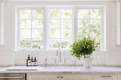 a kitchen with white cabinets and marble counter tops has a potted plant on the sink