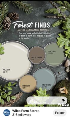 an advertisement for the wild farm store featuring paint colors and pineconi leaves, with text that reads forest finds