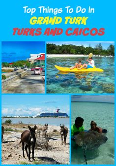 the top things to do in grand turk turkey and cayos, including donkeys