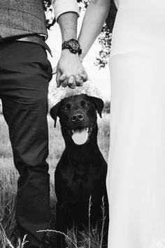 a black and white photo of a couple holding hands with a dog sitting next to them