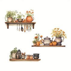 two shelves with pots and pans filled with flowers