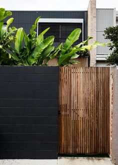 a black fence with green plants in front of it