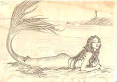 a pencil drawing of a mermaid laying on the beach