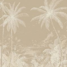 an image of a tropical scene with palm trees and other plants in the foreground