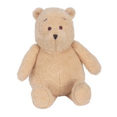 a brown teddy bear sitting up against a white background