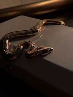 a snake is sitting on top of a white box and it's tail is curled up