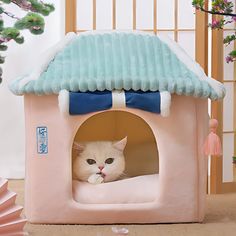 a white cat in a pink and blue house shaped like it's own bed