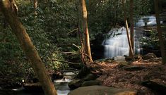 a small waterfall in the middle of a forest