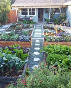 a garden with lots of plants and flowers in the front yard, next to a house