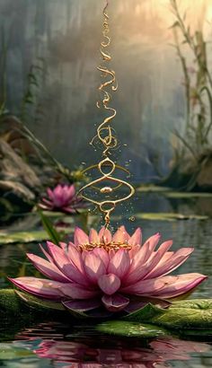 a pink flower floating on top of water