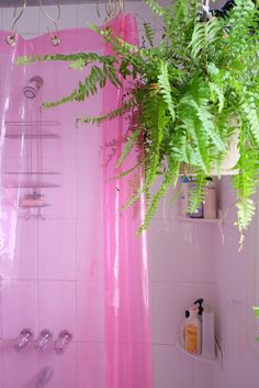 a pink shower curtain in a bathroom next to a green plant