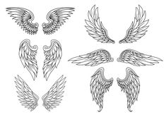 six angel wings in different styles