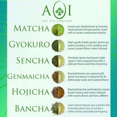 a poster showing the different types of teas and their names in each one's own language