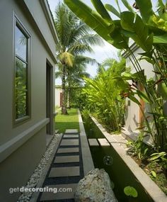 an outdoor garden with plants and rocks in the foreground, next to a house