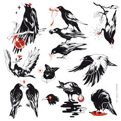 various black and white birds with red beaks on their wings, sitting in front of each other