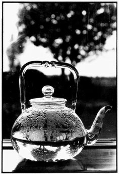 black and white photograph of a teapot with water on the outside, in front of a tree