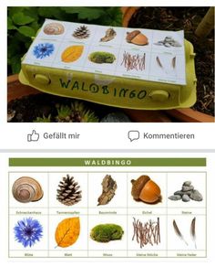 a box with different types of plants in it and an image of the contents inside