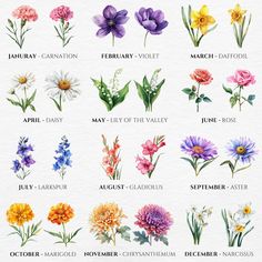 an image of flowers that are blooming in the spring and summer months with names