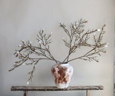 a vase with branches in it sitting on top of a wooden table next to a wall