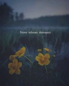 two yellow flowers with the words never tolerate dispect on them in front of a dark background