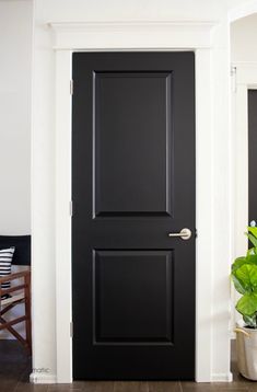 a black door in a white room next to a potted plant on the floor