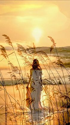 a woman in a white dress walking on the beach at sunset with tall grass blowing in the wind