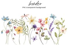 watercolor flowers and butterflies on a white background with the words flower png transparent background