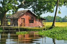 a small house sitting on top of a body of water next to a tree and grass covered field