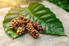 some nuts are sitting on top of a green leaf