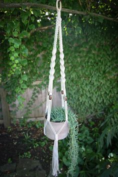 a macrame planter hanging from a tree branch