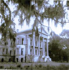 an old building with trees hanging over it