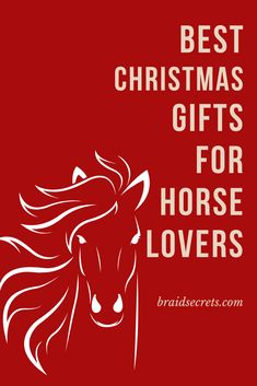 a horse with the words best christmas gifts for horse lovers on it's back