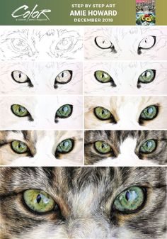 the steps to draw an animal's eyes with colored pencils