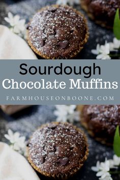 chocolate muffins with powdered sugar and sprinkles on top in front of the words, sourdough chocolate muffins