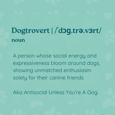 a blue poster with the words dogtrovet / dogtravest / nom